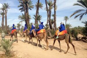 Balade-à-dos-de-chameau-dans-la-palmeraie-de-Marrakech-Maroc